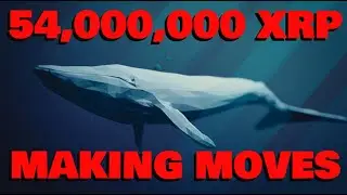 54 MILLION XRP Flowing, Ripple & Coinbase MAKING MOVES | Continued SPARK Adoption | MoneyGram GROWS