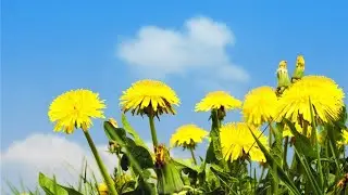 До Нового года осталось #live