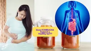 The Untold Truth About Kombucha and Gut Health   Dr  Explains the Science