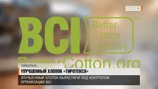 «Улучшенный хлопок» - Тиротекс стала членом BCI