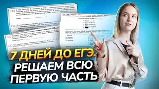 Неделя до ЕГЭ: практика всей 1 части, как решать задания 1-21