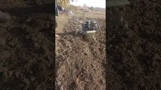 А что потом