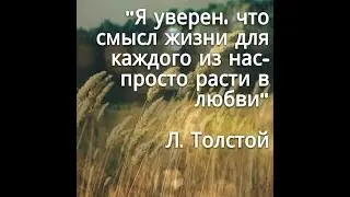 Интересный документальный фильм о смысле жизни