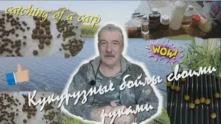 Карповая рыбалка. Бойлы Кукурузные своими руками