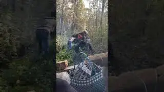 ДТ 20 трохи присів у болоті