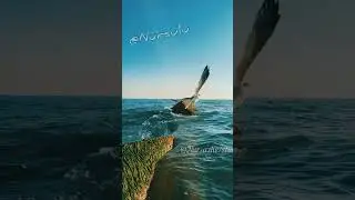 27 января 2024 г.
