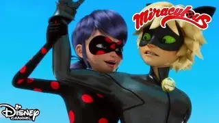 Buburuza este Akumatizată | Miraculos | Disney Channel România