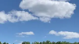 Барашки белые на ярко синем поле