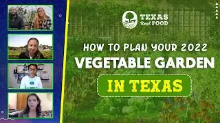 How to Plan Your 2022 Vegetable Garden in Texas