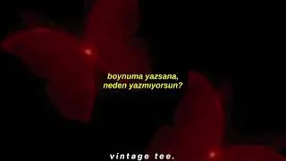 camila cabello - shameless acoustic version (türkçe çeviri).