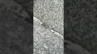Another Day, Another Dime - I Found a Dime on the Sidewalk - Philadelphia - Wednesday June 28, 2023