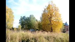 Видео-Стихи: 96 серия  