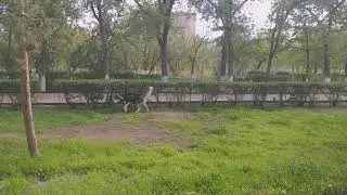Опустела без тебя земля