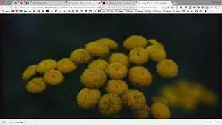 Bootstrap 4 Tutorial From PSD to HTML Part 2