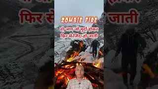 वो आग जो मरकर फिर से जिंदा हो गई😱 #ZombieFire