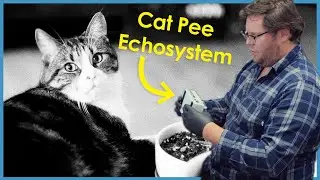 Repairing a Cat Pee Echosystem