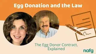 Egg Donation & the Law: The Egg Donor Contract | Northeast Assisted Fertility Group