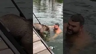 Не пускает меня 😄