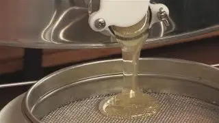 How to Store and Filter Honey