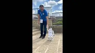 walking with NAO robot Stella @makerfaire2022