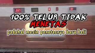 SELALU GAGAL MENETAS ‼️ Memperbaiki  Mesin penetas telur