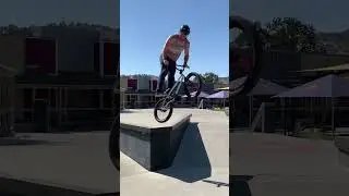I HATE Big Tailwhips