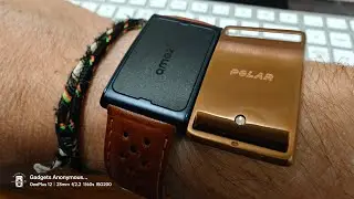 Day 22: Polar Loop 2 vs. Amazfit Helio Band