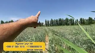 ЗУДЛИК БЛАН УЧАСТКА СОТИЛАДИ