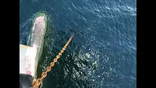 How To Report Anchor Chain