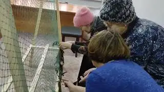 Первичная ветеранская организация "Мудрость"