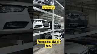 Авторазбор в Дубае 2023 #dubai #дубай #moscow #dubaiautodrome #baku #tashkent