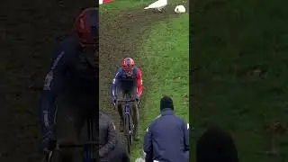 🦆 Quand les canards se mêlent à la course 🫣⁠⁠