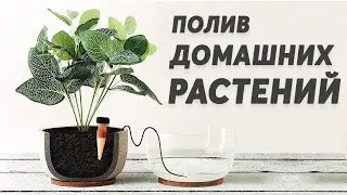 Автоматический полив домашних растений своими руками: DIY с моторчиком от омывателя и таймером