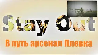 ⭐Stay Out⭐ Сталкер -Онлайн 👍  Арсенал оружие  Плевка