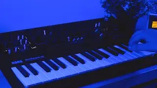 Enigmatic barcode | Korg Minilogue xd, Norns shield / Barcode