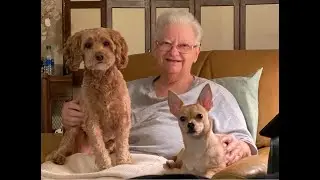 Teri Madigan's Slideshow