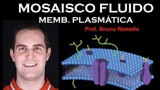 Membrana Plasmática -  Mosaico Fluido