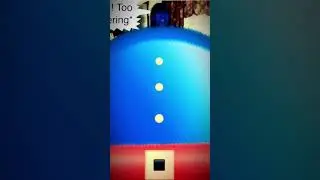 More Blueberry Experience