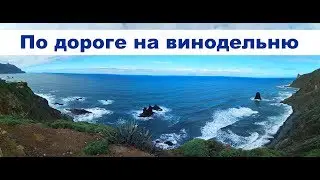 Поездка по Тенерифе на Винодельню | Жизнь на яхте Cupiditas