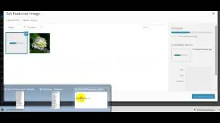 Copy of How to add Home page Slider for Bota WordPress Theme with simple Tutorial
