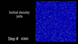 Game of Life, evolution of random configuration