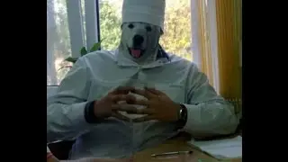 https://www.youtube.com/channel/UCunW8uY1YiGhgZNFMeqTa6g