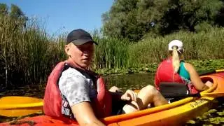 Прогулка по заводням острова  Хортица 11 09 2016