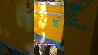 07.11.2023 облет!