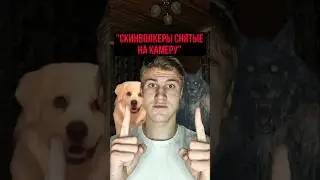 💀СКИНВОЛКЕРЫ СНЯТЫЕ НА КАМЕРУ | или нет? 
