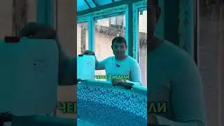 Без этого ваш бассейн будет зеленеть💥