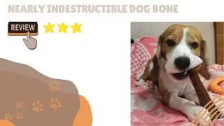 Nearly Indestructible Dog Bone | Dogizz | Free Worldwide Delivery
