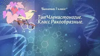 Биология 7 кл Пасечник §44 Тип Членистоногие. Класс Ракообразные
