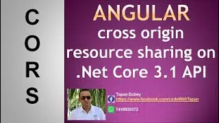 15. Enable cors in asp.net core web api 3.1