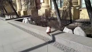 Бруно на прогулке.🐶